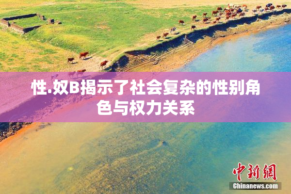 性.奴B揭示了社会复杂的性别角色与权力关系