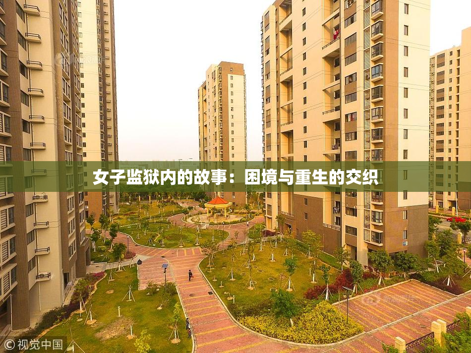 女子监狱内的故事：困境与重生的交织