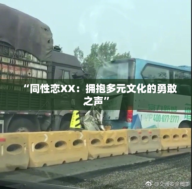 “同性恋XX：拥抱多元文化的勇敢之声”