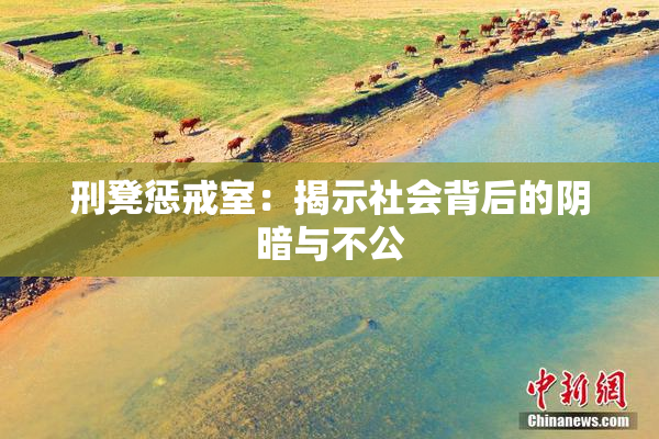 刑凳惩戒室：揭示社会背后的阴暗与不公