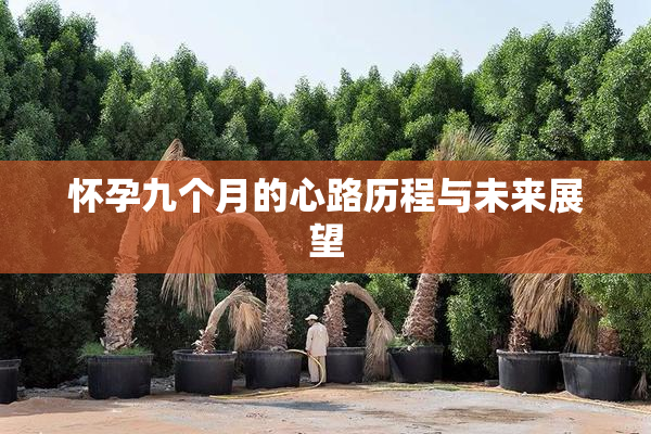 怀孕九个月的心路历程与未来展望