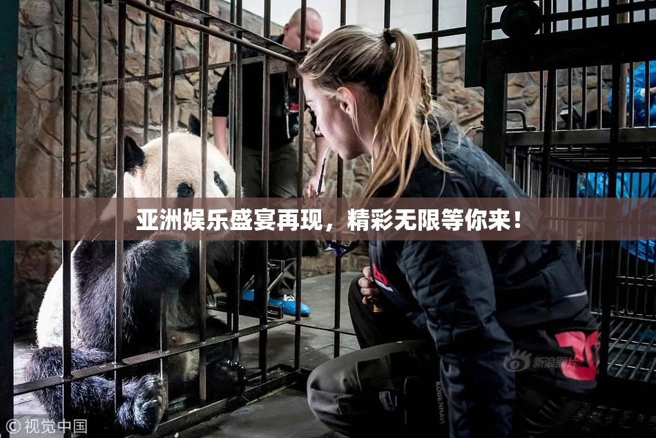 亚洲娱乐盛宴再现，精彩无限等你来！