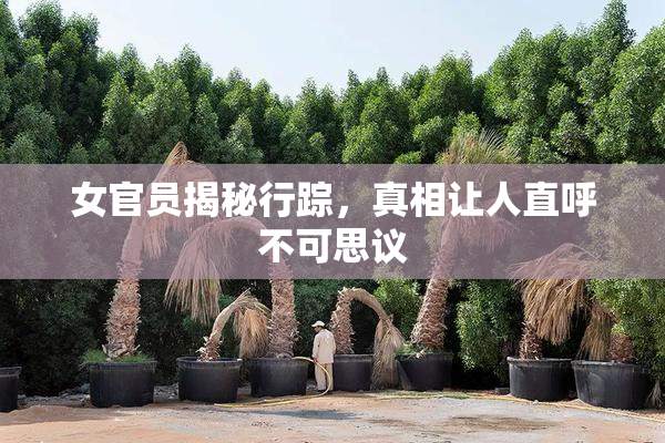 女官员揭秘行踪，真相让人直呼不可思议