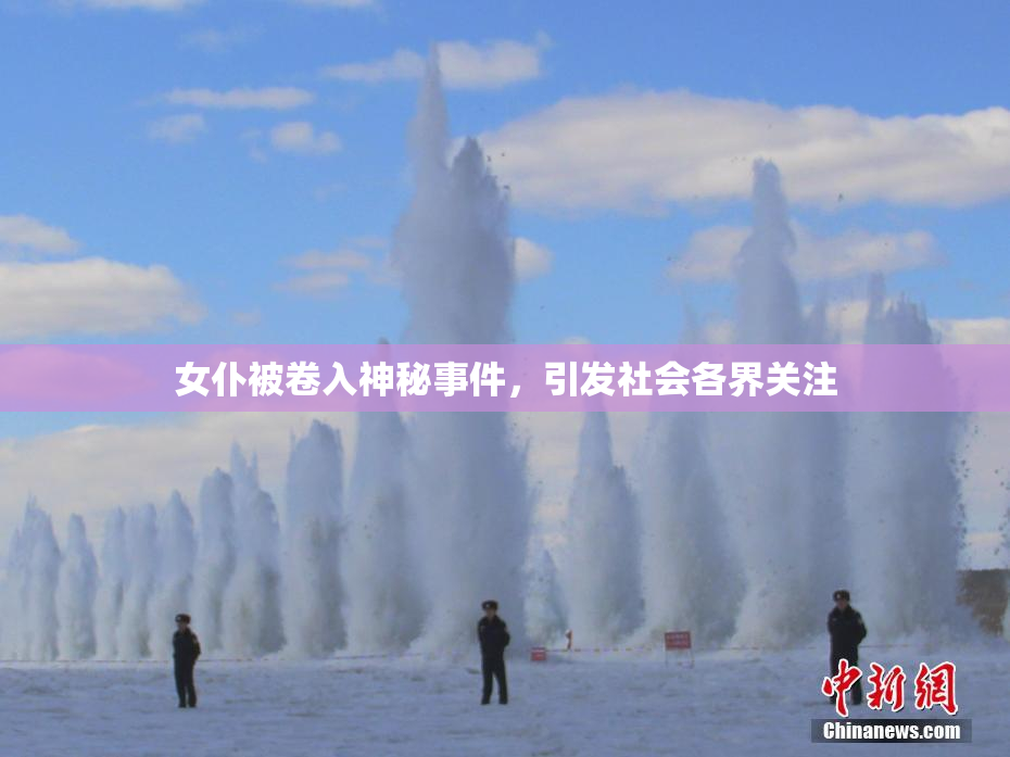 女仆被卷入神秘事件，引发社会各界关注