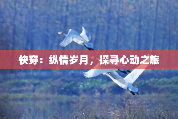 快穿：纵情岁月，探寻心动之旅