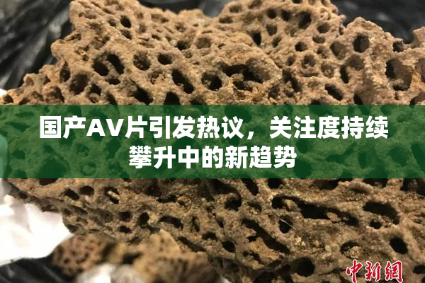 国产AV片引发热议，关注度持续攀升中的新趋势
