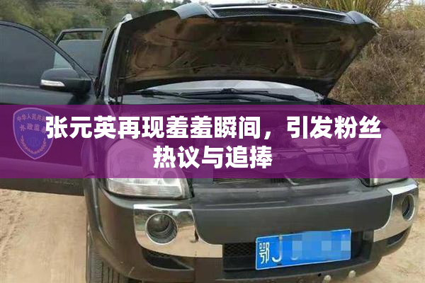 张元英再现羞羞瞬间，引发粉丝热议与追捧