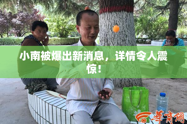 小南被爆出新消息，详情令人震惊！
