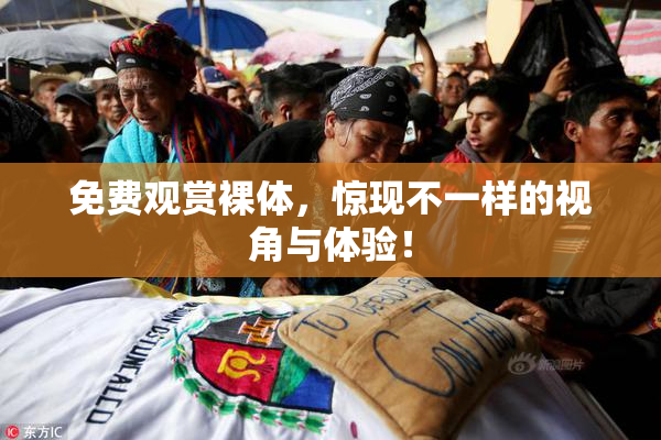 免费观赏裸体，惊现不一样的视角与体验！