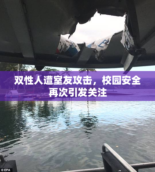 双性人遭室友攻击，校园安全再次引发关注