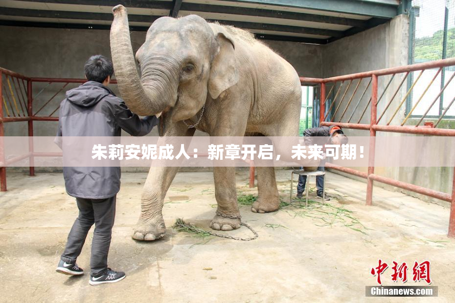 朱莉安妮成人：新章开启，未来可期！