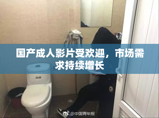 国产成人影片受欢迎，市场需求持续增长