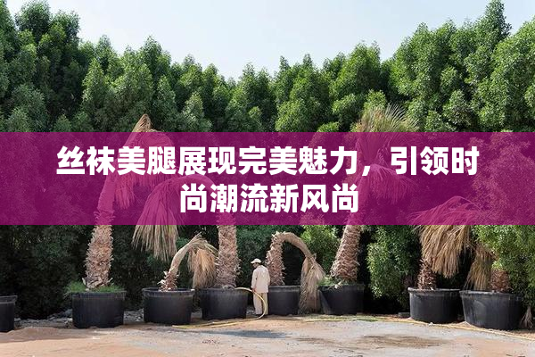 丝袜美腿展现完美魅力，引领时尚潮流新风尚
