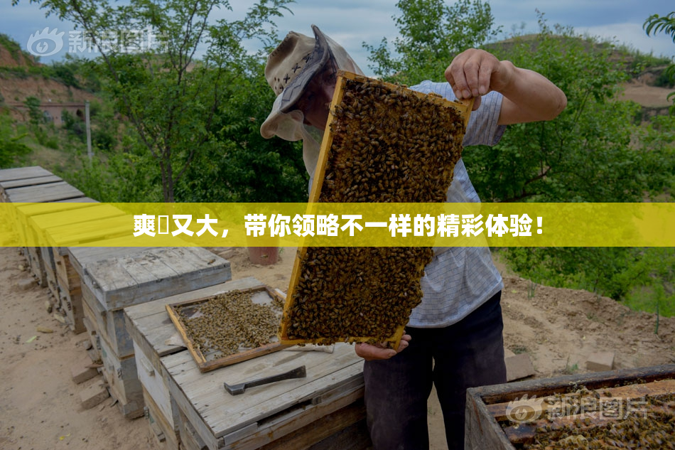 爽擼又大，带你领略不一样的精彩体验！