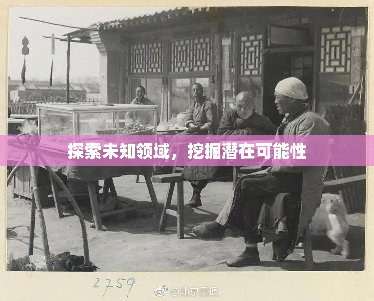 探索未知领域，挖掘潜在可能性
