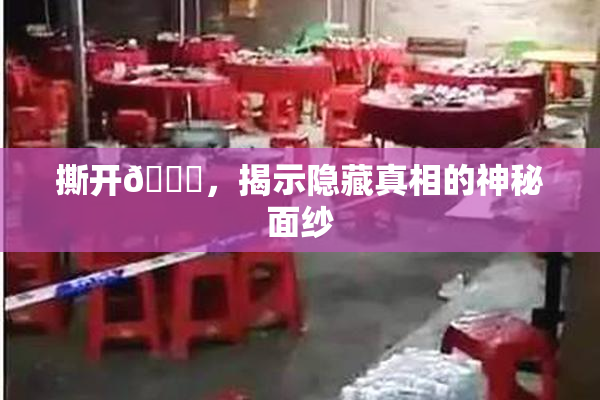 撕开👙，揭示隐藏真相的神秘面纱