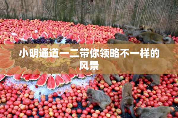 小明通道一二带你领略不一样的风景