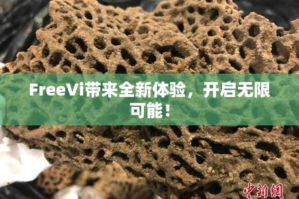FreeVi带来全新体验，开启无限可能！