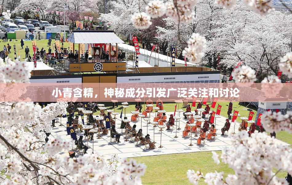 小青含精，神秘成分引发广泛关注和讨论