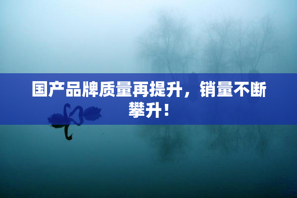 国产品牌质量再提升，销量不断攀升！