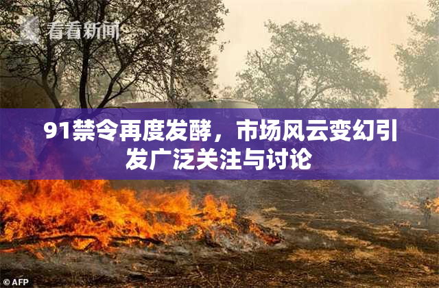 91禁令再度发酵，市场风云变幻引发广泛关注与讨论