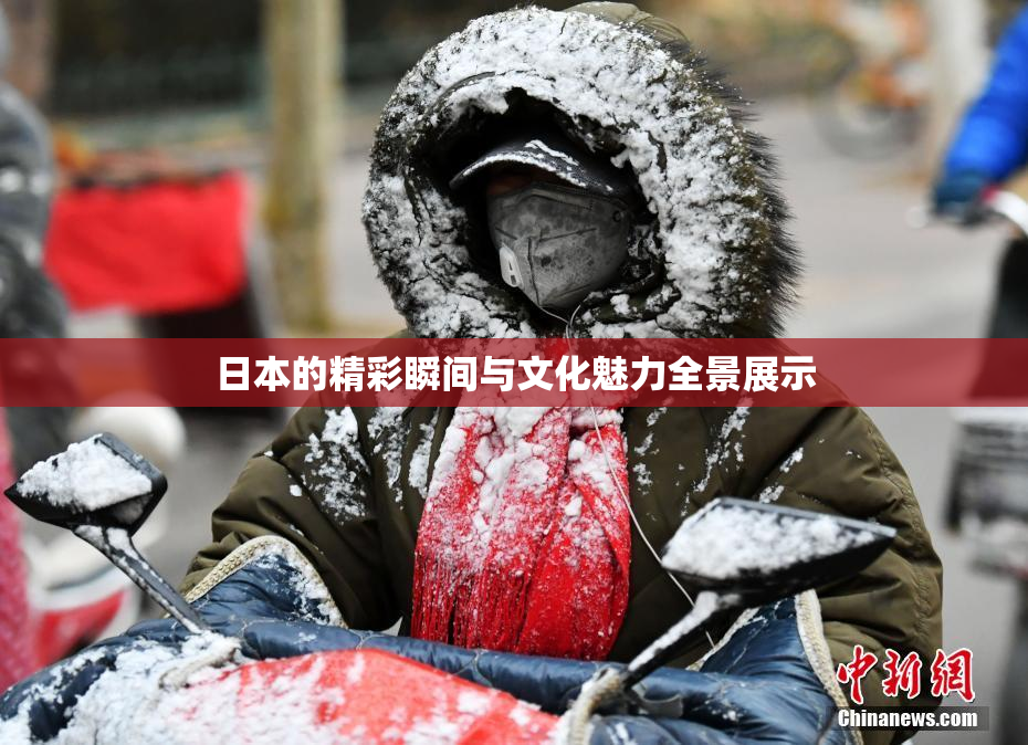 日本的精彩瞬间与文化魅力全景展示