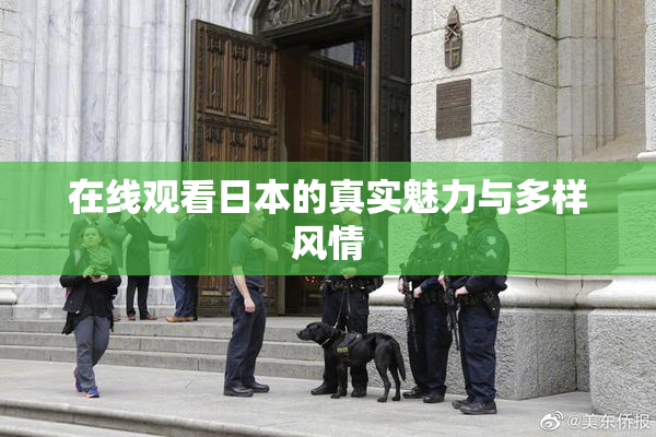 在线观看日本的真实魅力与多样风情