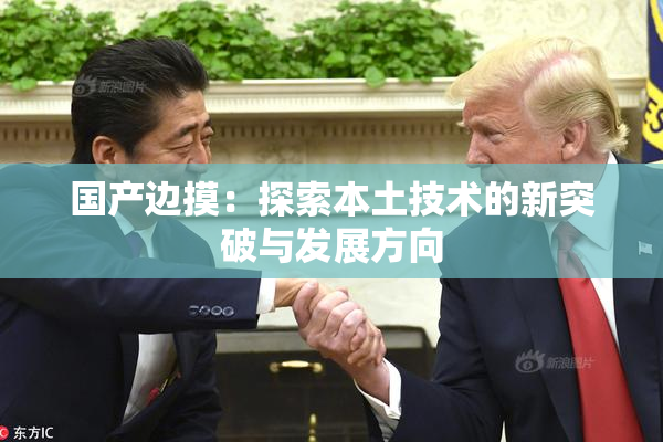 国产边摸：探索本土技术的新突破与发展方向