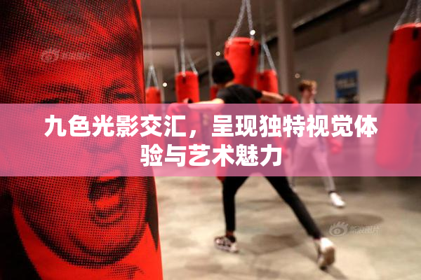 九色光影交汇，呈现独特视觉体验与艺术魅力