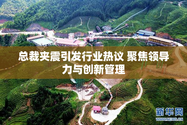 总裁夹震引发行业热议 聚焦领导力与创新管理