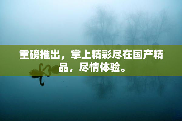 重磅推出，掌上精彩尽在国产精品，尽情体验。