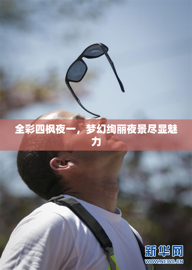 全彩四枫夜一，梦幻绚丽夜景尽显魅力