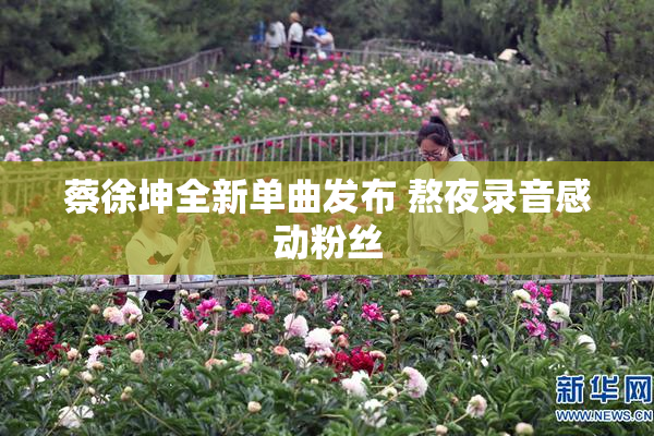 蔡徐坤全新单曲发布 熬夜录音感动粉丝