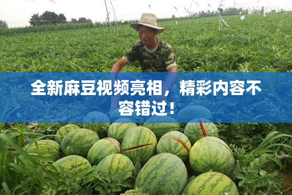 全新麻豆视频亮相，精彩内容不容错过！