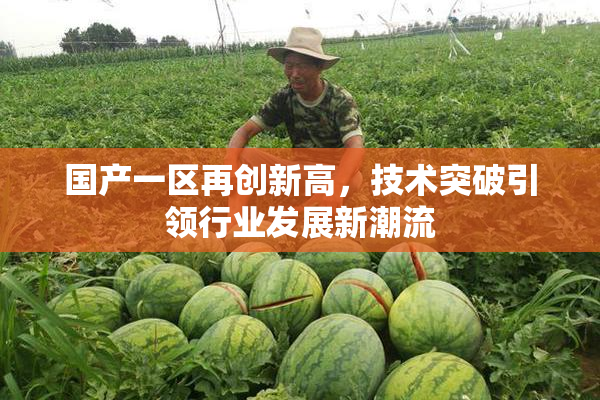 国产一区再创新高，技术突破引领行业发展新潮流