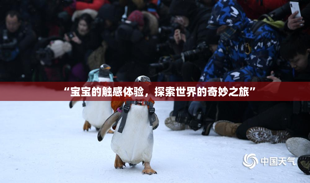 “宝宝的触感体验，探索世界的奇妙之旅”