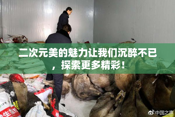 二次元美的魅力让我们沉醉不已，探索更多精彩！