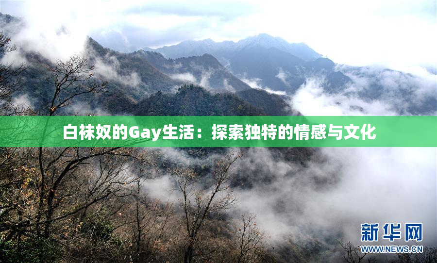 白袜奴的Gay生活：探索独特的情感与文化