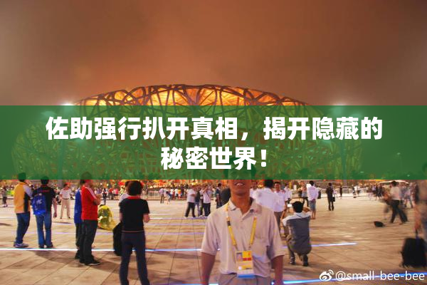 佐助强行扒开真相，揭开隐藏的秘密世界！