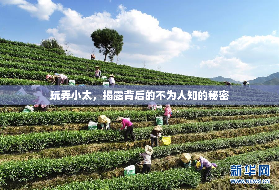 玩弄小太，揭露背后的不为人知的秘密