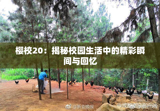 樱校20：揭秘校园生活中的精彩瞬间与回忆