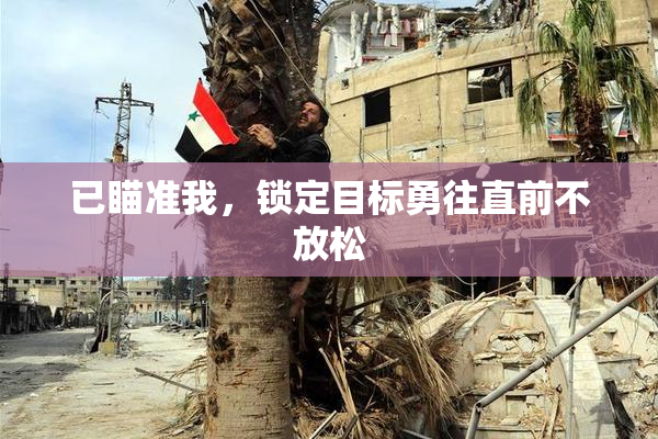 已瞄准我，锁定目标勇往直前不放松