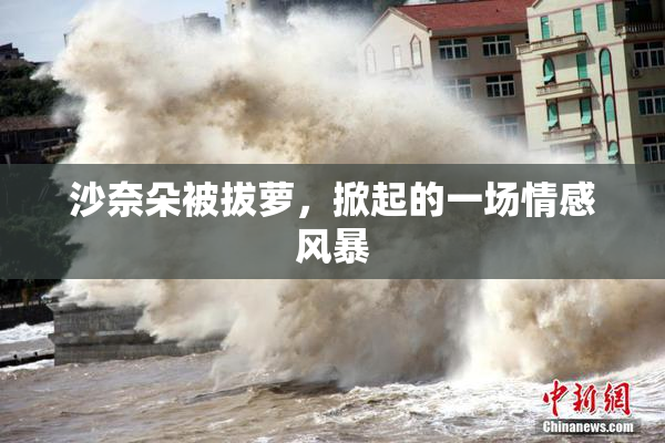 沙奈朵被拔萝，掀起的一场情感风暴