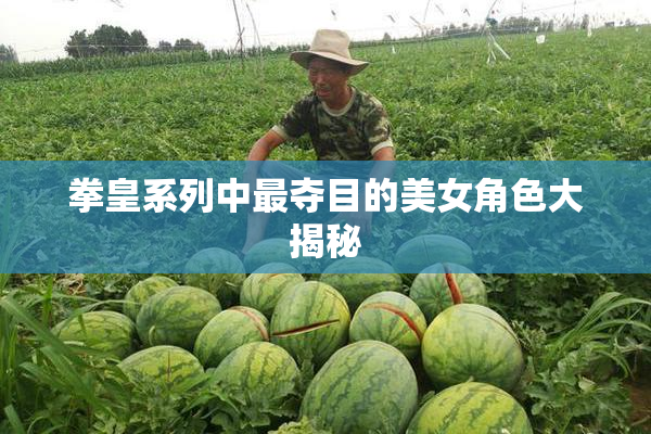 拳皇系列中最夺目的美女角色大揭秘