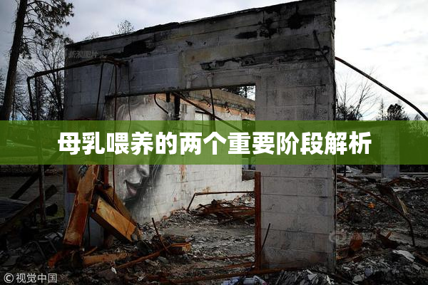 母乳喂养的两个重要阶段解析