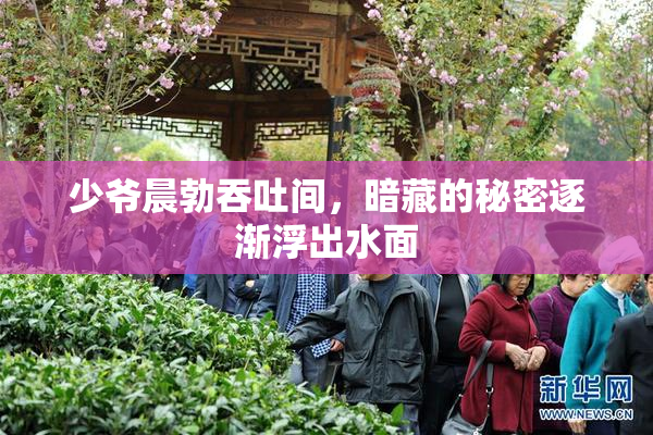 少爷晨勃吞吐间，暗藏的秘密逐渐浮出水面