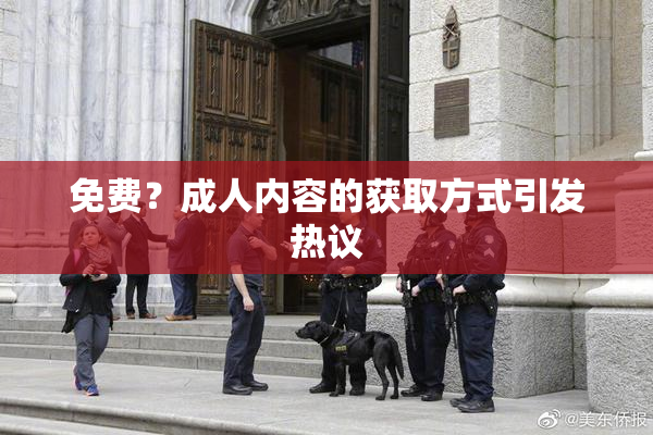 免费？成人内容的获取方式引发热议
