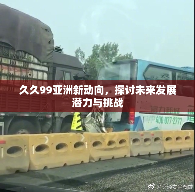久久99亚洲新动向，探讨未来发展潜力与挑战