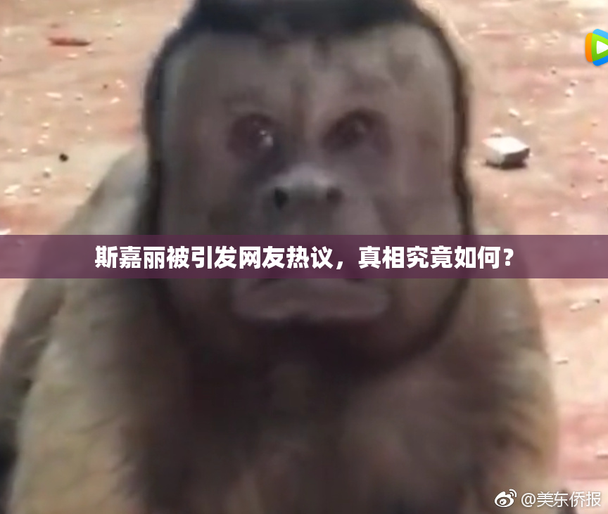 斯嘉丽被引发网友热议，真相究竟如何？