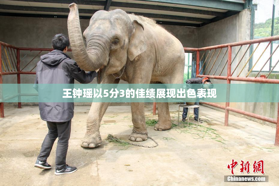 王钟瑶以5分3的佳绩展现出色表现